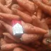 купим морковь в Сургуте
