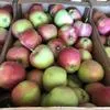 яблоки оптом от 5 тонн сорт Глостер в Симферополе