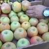 яблоки голден, гренни,джонаголд в Симферополе 6