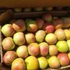 яблоки голден, гренни,джонаголд в Симферополе 5