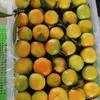 продаем мандарины из Китая  в Китае