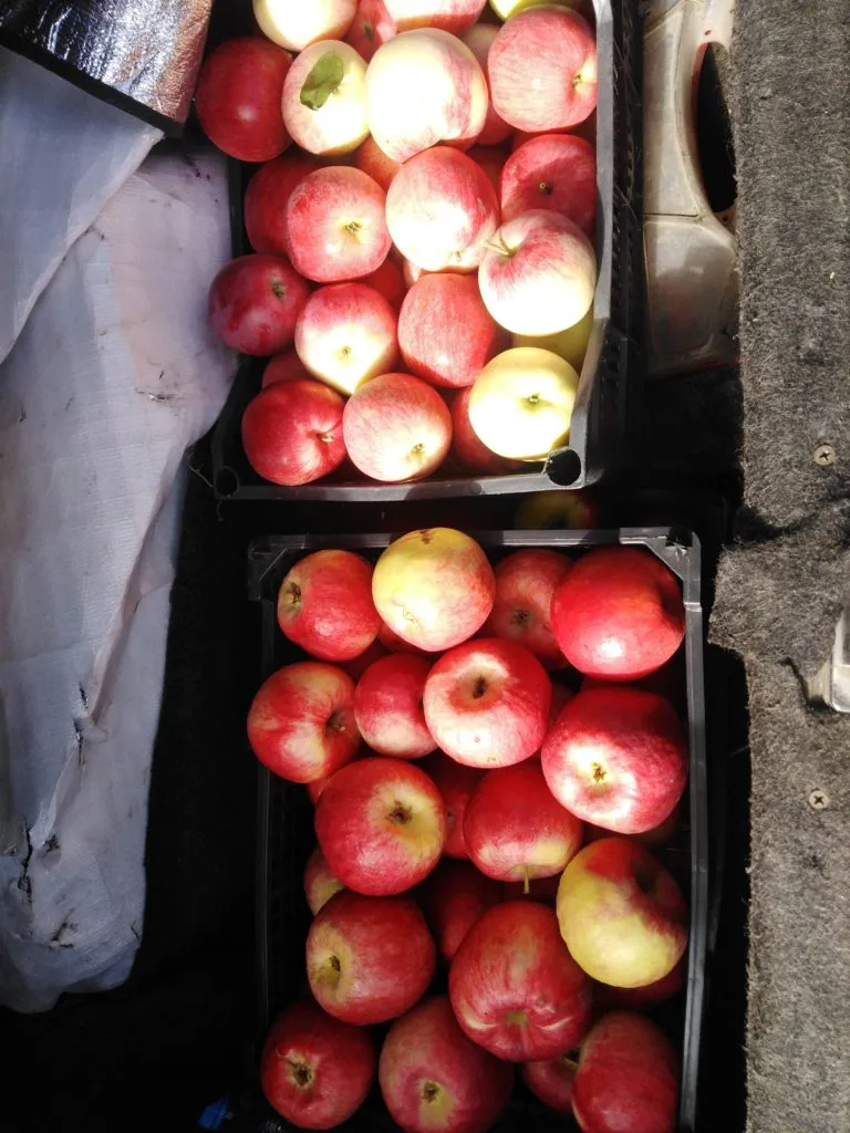 домашние яблоки в Ульяновске