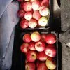 домашние яблоки в Ульяновске