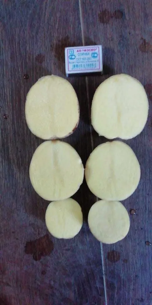 картофель Гала в Кемерово в Кемерове 4