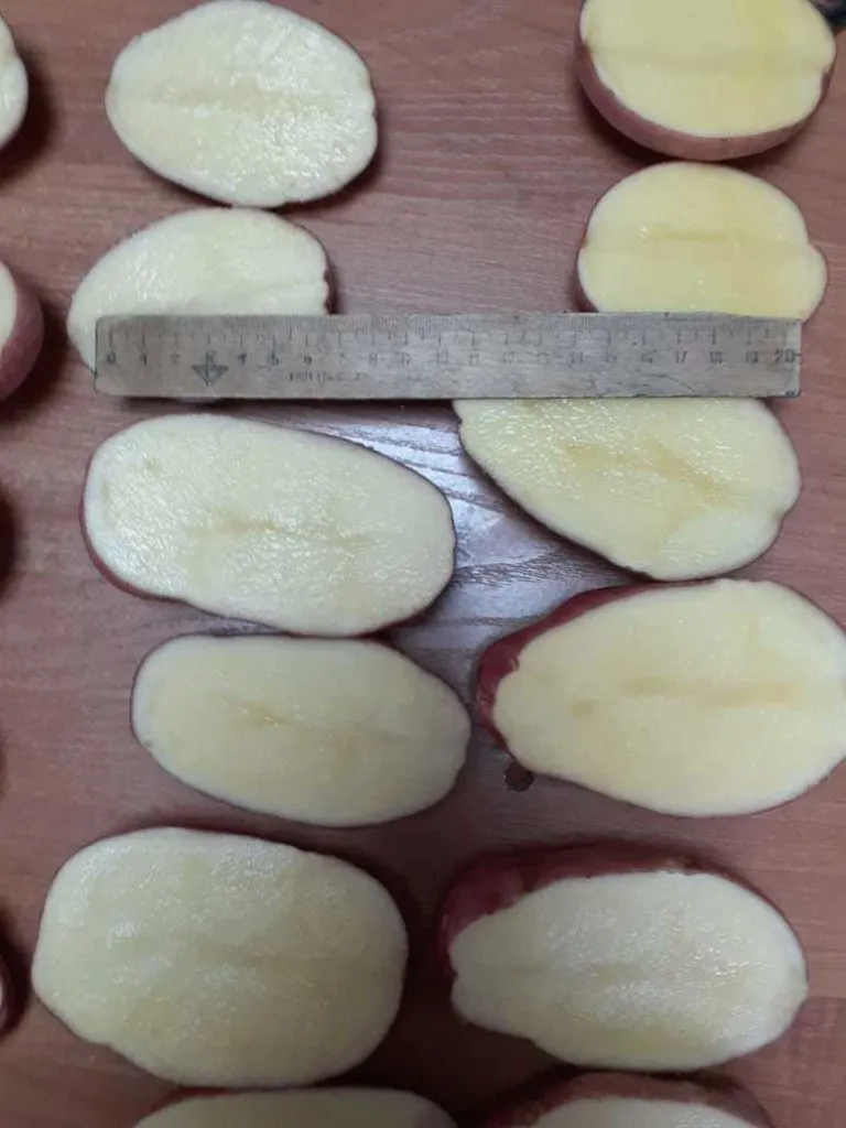 картофель  8 руб в Богородицке