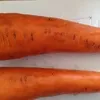 морковь мытая в Брянске