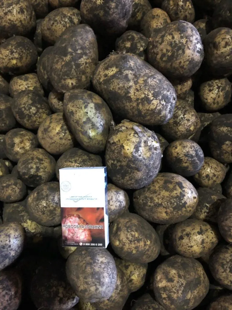 фотография продукта Картофель оптом в Кемерово