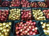  продаем овощи ,фрукты делаем экспорт в Молдавии 16