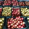  продаем овощи ,фрукты делаем экспорт в Молдавии 16
