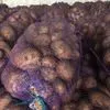 картофель в Крыму в Гвардейске