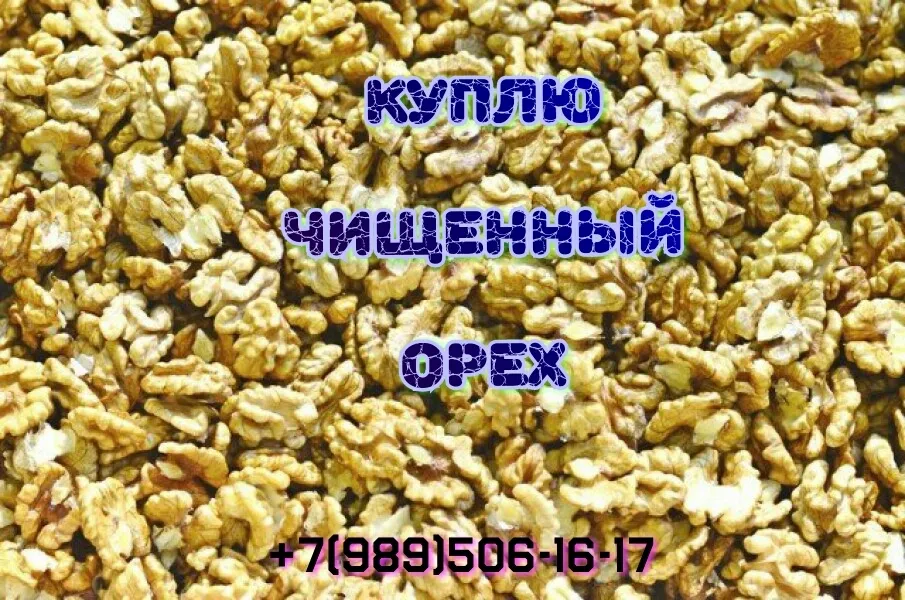 фотография продукта Грецкий орех чищенный закупаем