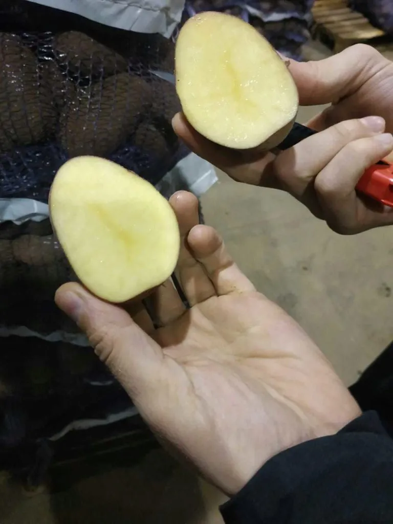 картофель 2019 в Омске