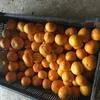мандарины из Абхазии оптом в Ставрополе