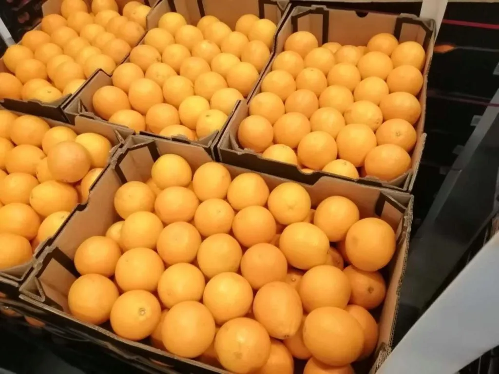 фотография продукта Крупные апельсины кал 50/55 ЮАР
