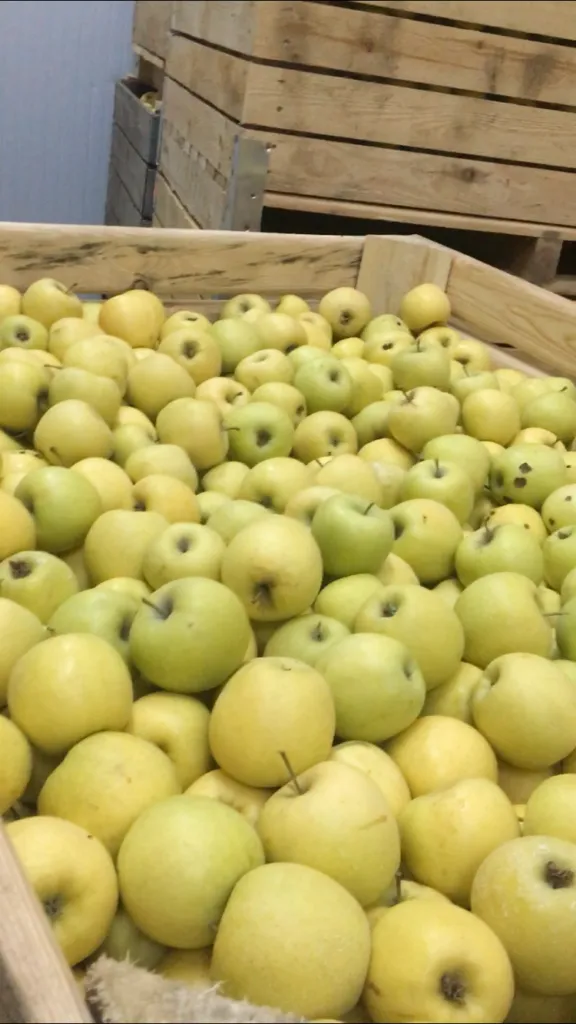 яблоки Калиброванные оптом в Краснодаре
