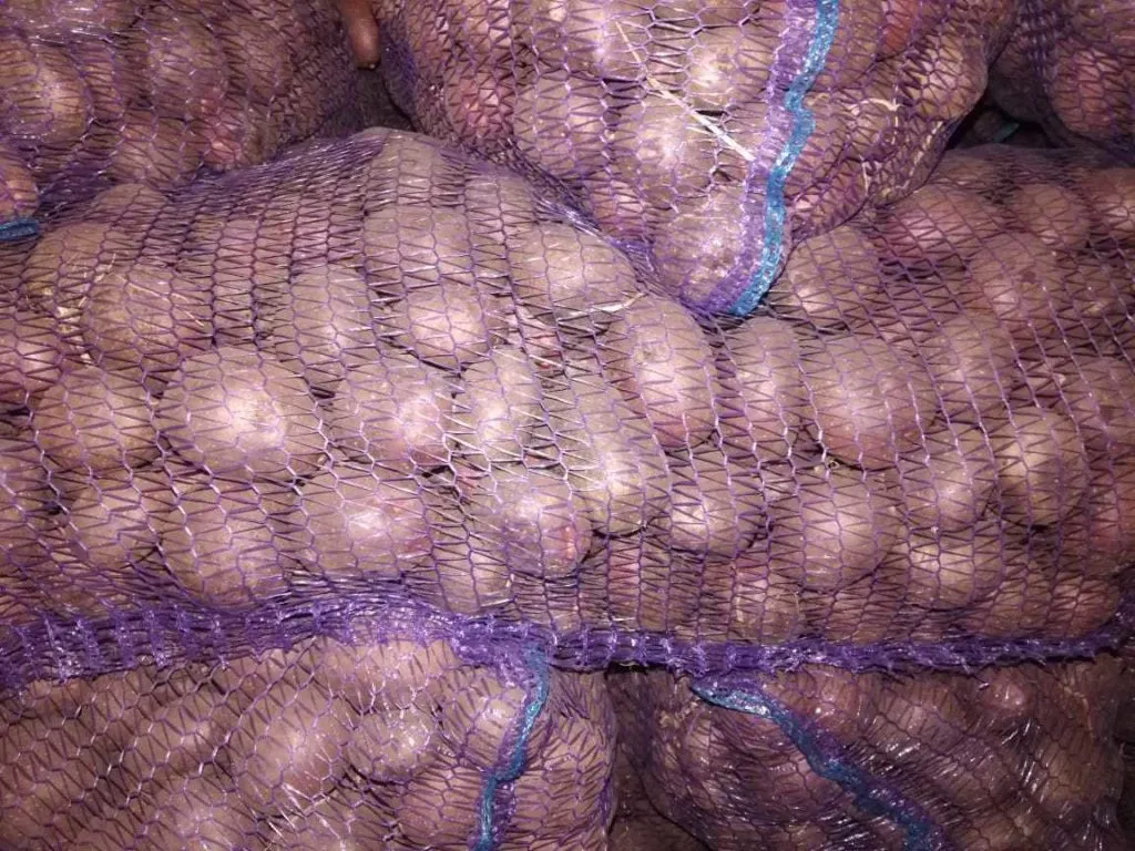 семянной картофель оптом  в Пензе