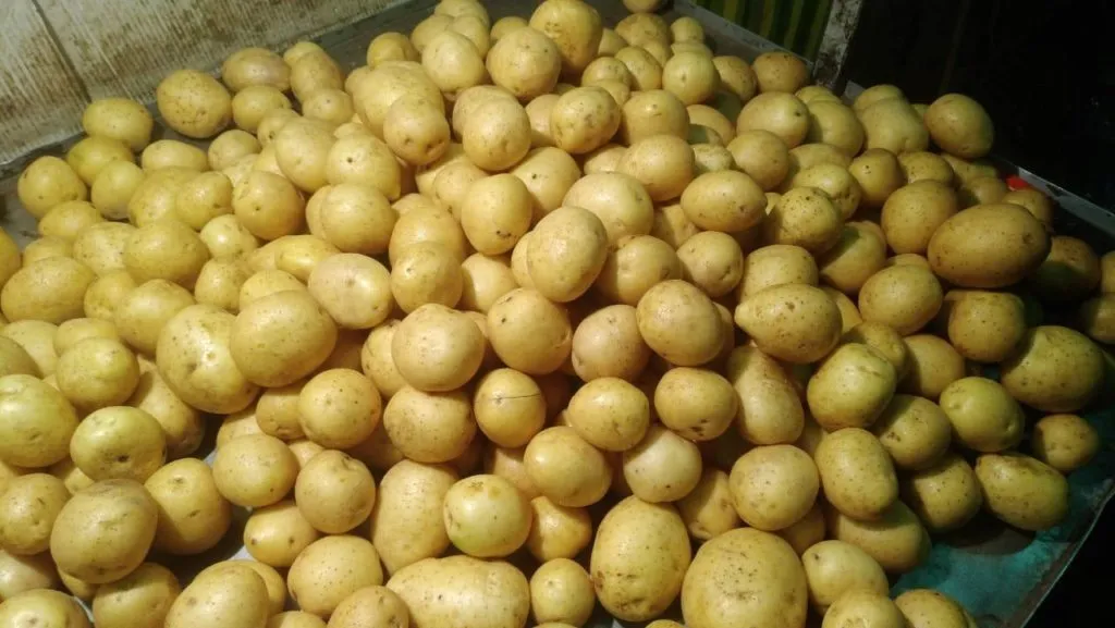 фотография продукта Картофель мытый(белый, красный)