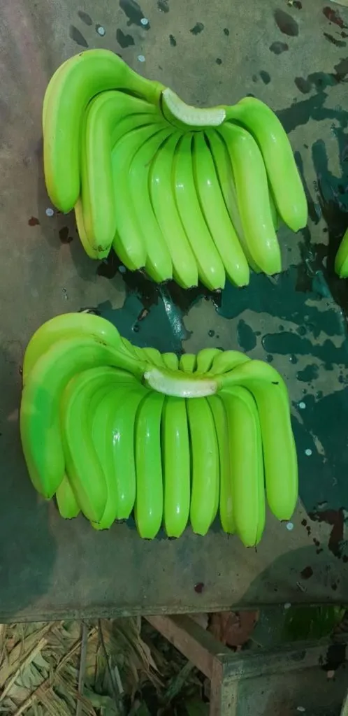 фотография продукта Реализуем бананы.