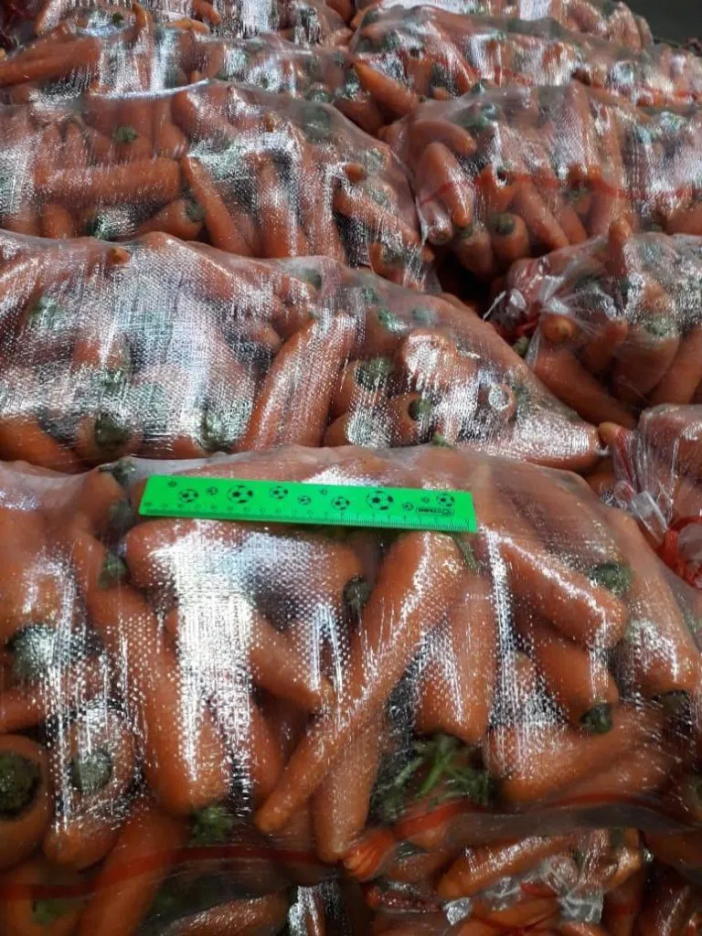 морковь Оптом в Самаре