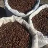 кедровый орех оптом, урожай 2019 в Абакане