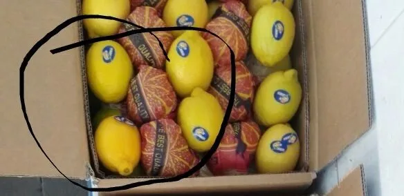 фотография продукта Реализуем лимоны Адалия (Египет).