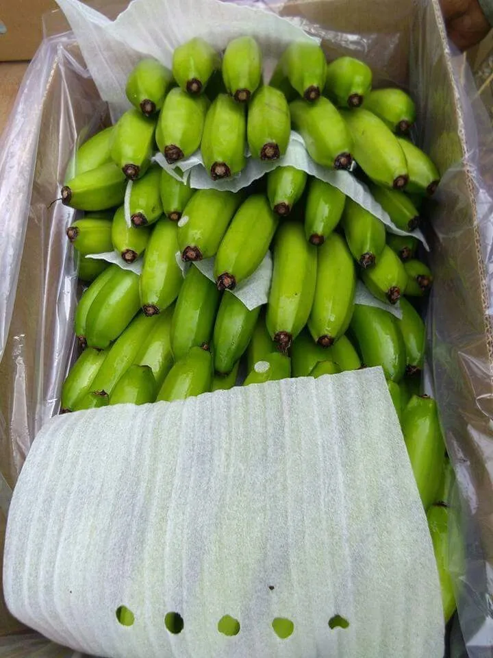 фотография продукта Реализуем бананы Cavendish Premium.