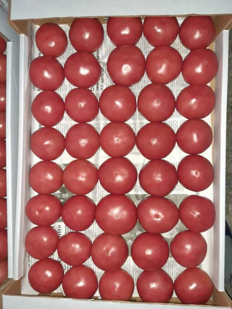 фотография продукта Розовые помидоры с Юга России