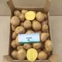 семенной картофель высокого качества  в Москве и Московской области 9