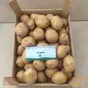 семенной картофель высокого качества  в Москве и Московской области 10