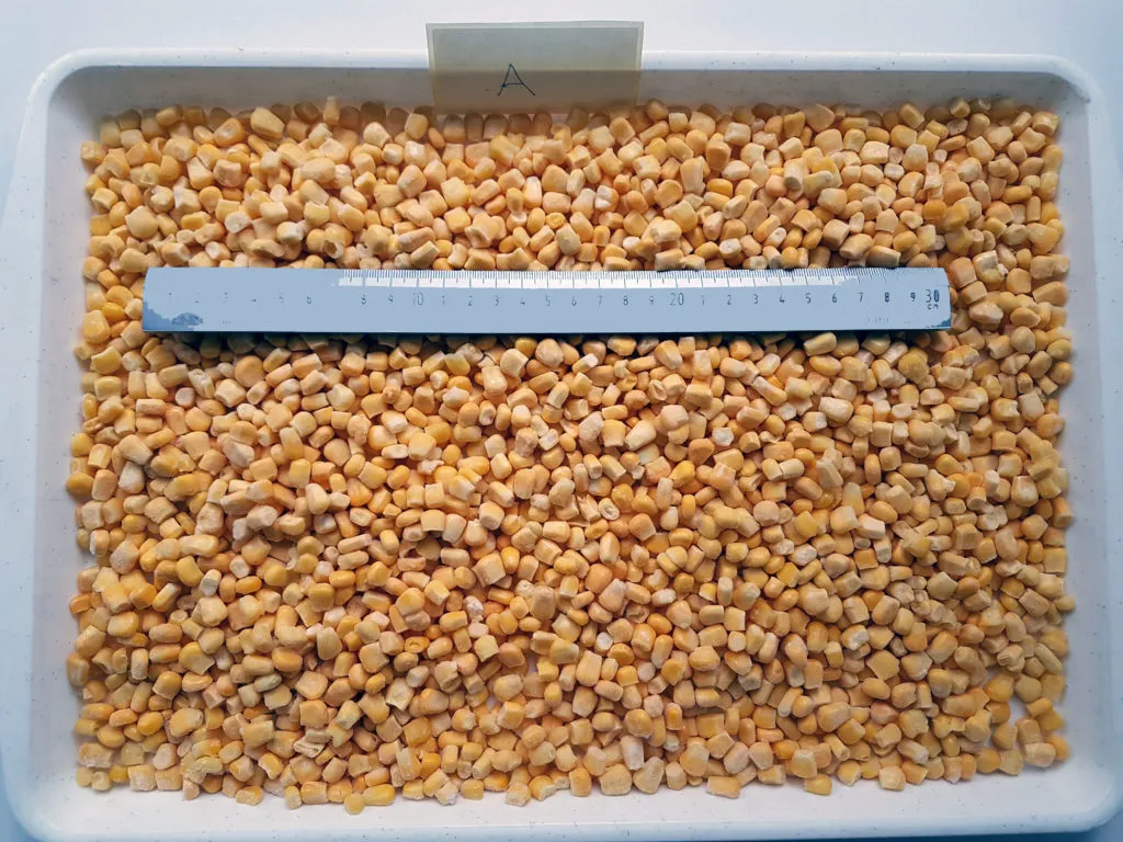 фотография продукта замороженная кукуруза - зерно (Венгрия)