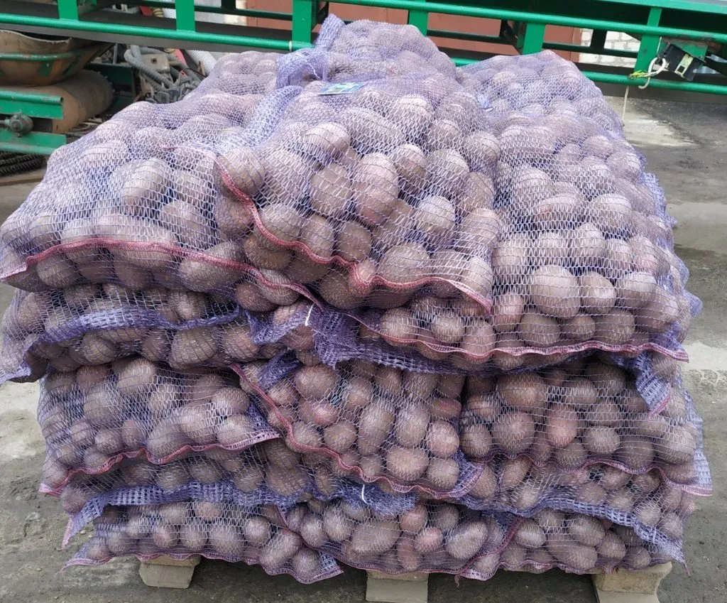 картофель на экспорт в Брянске