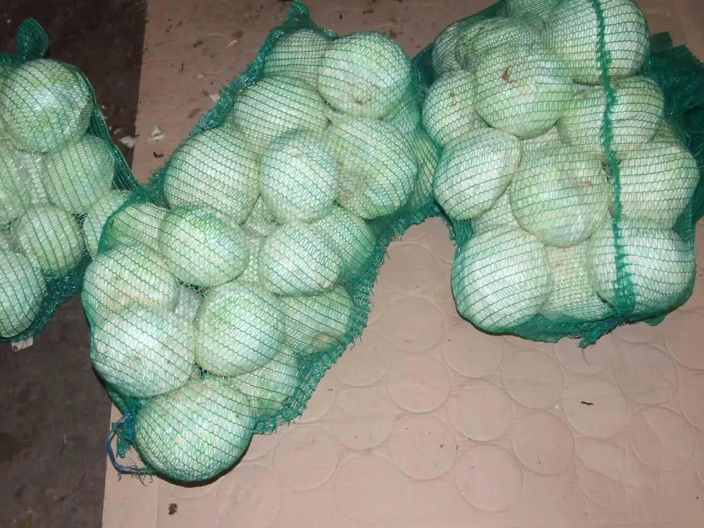 фотография продукта  Продажа капусты оптом на прямую с ФХ