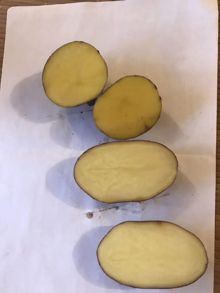 картофель оптом от Производителя в Екатеринбурге