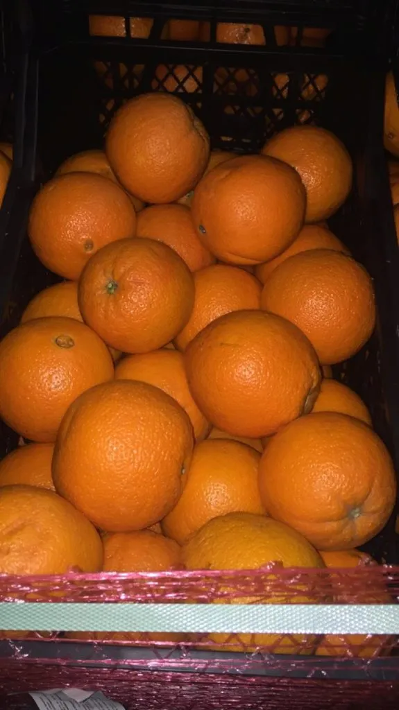 фотография продукта Апельсины Сорта Навел Турция