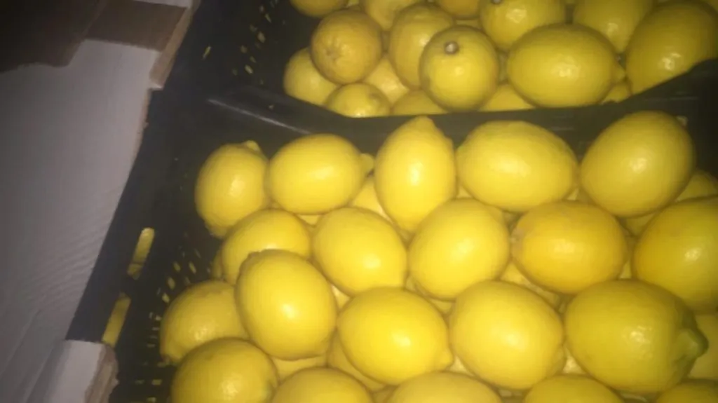 лимоны Турция. в Москве 4