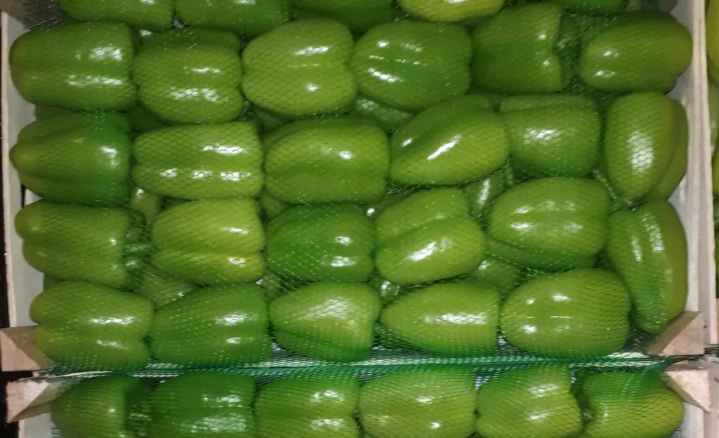 фотография продукта Перец сладкий зеленый Долма