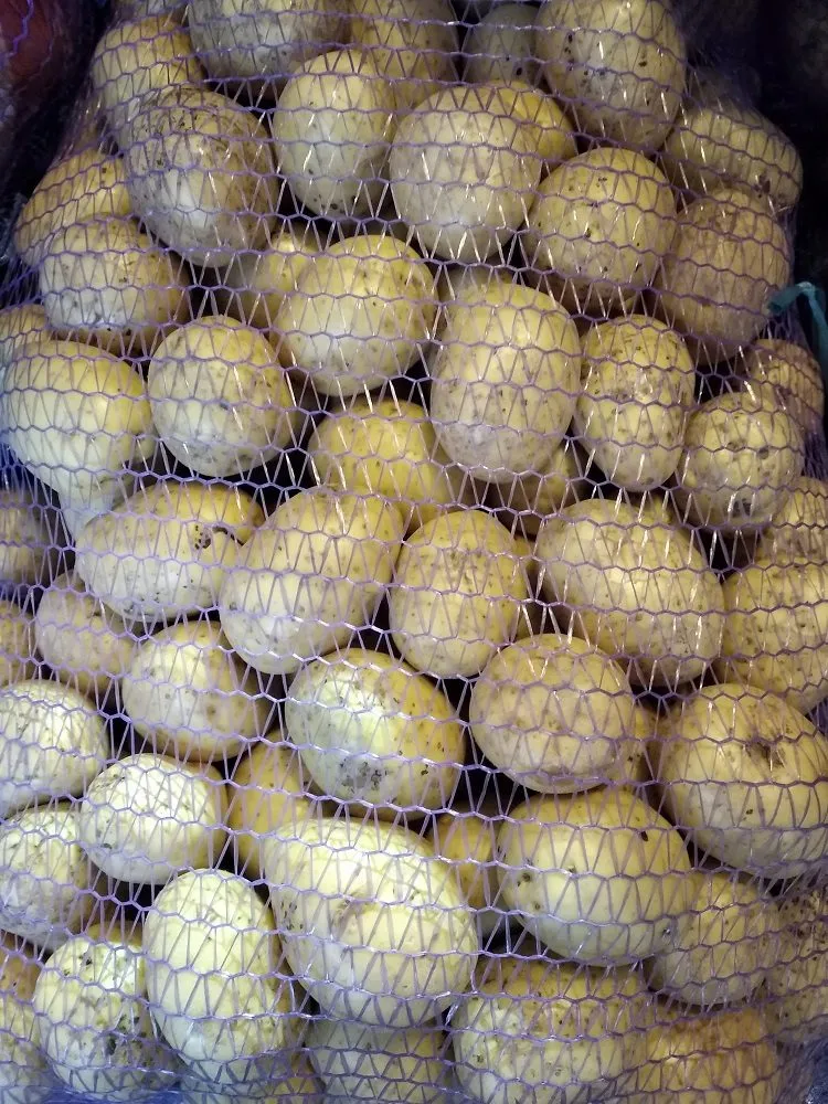 картофель мытый оптом в Красноярске