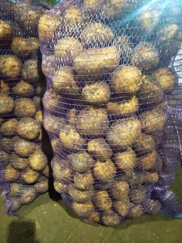 картофель от производителя.Гала в Омске