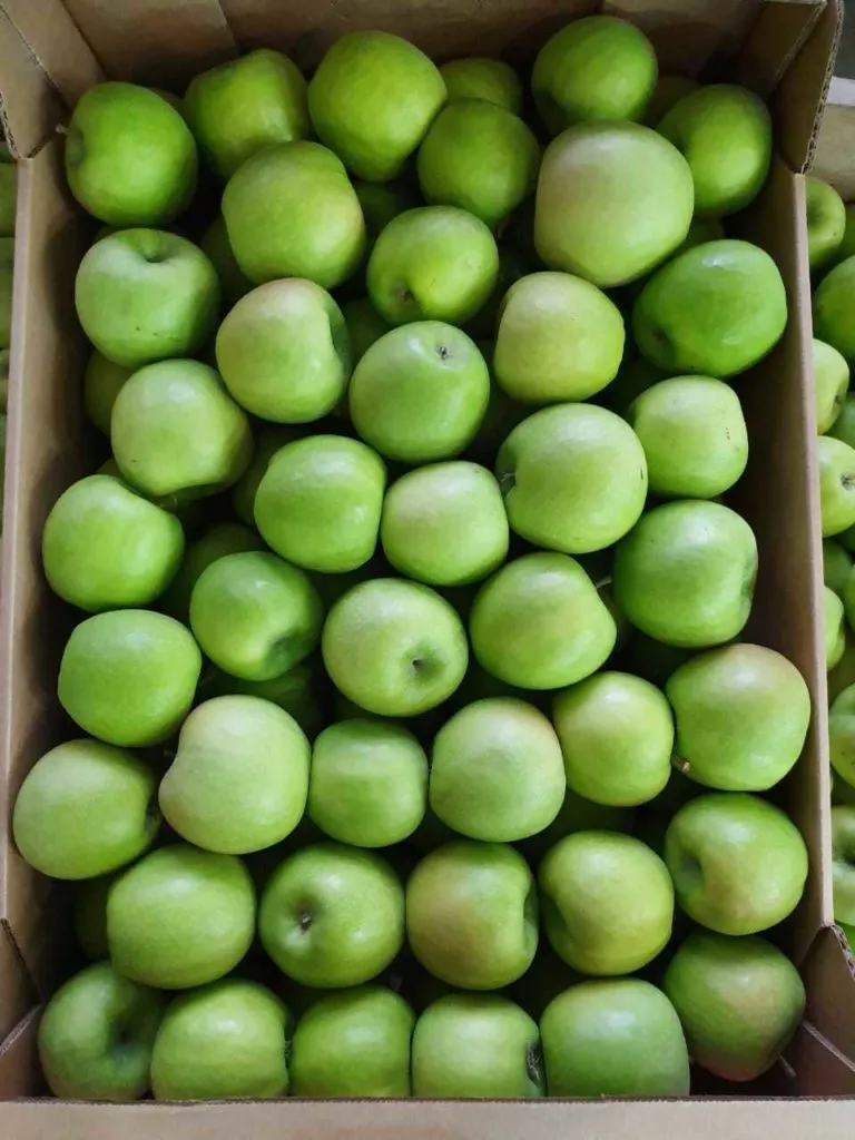 яблоки оптом с хранилища в Краснодаре 10