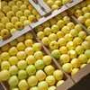 яблоки оптом с хранилища в Краснодаре 4