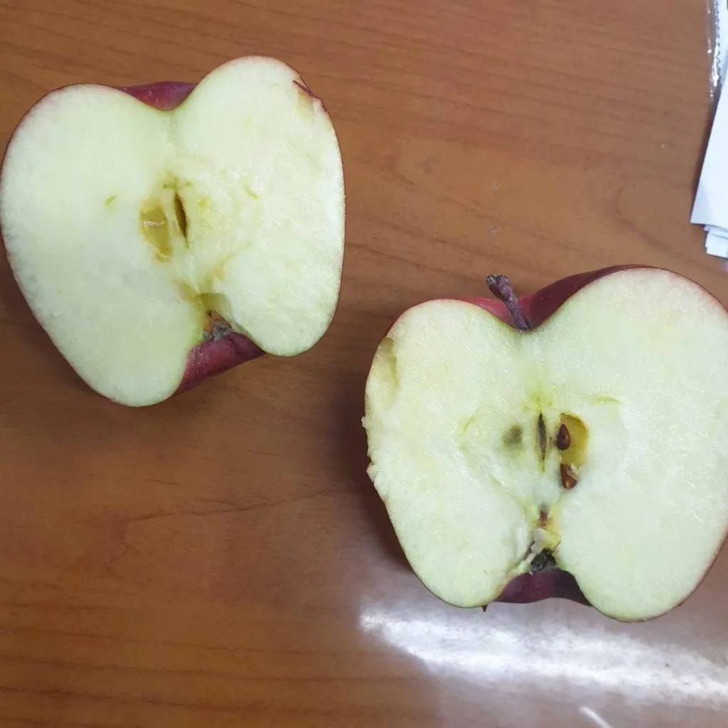 яблоки оптом с хранилища в Краснодаре