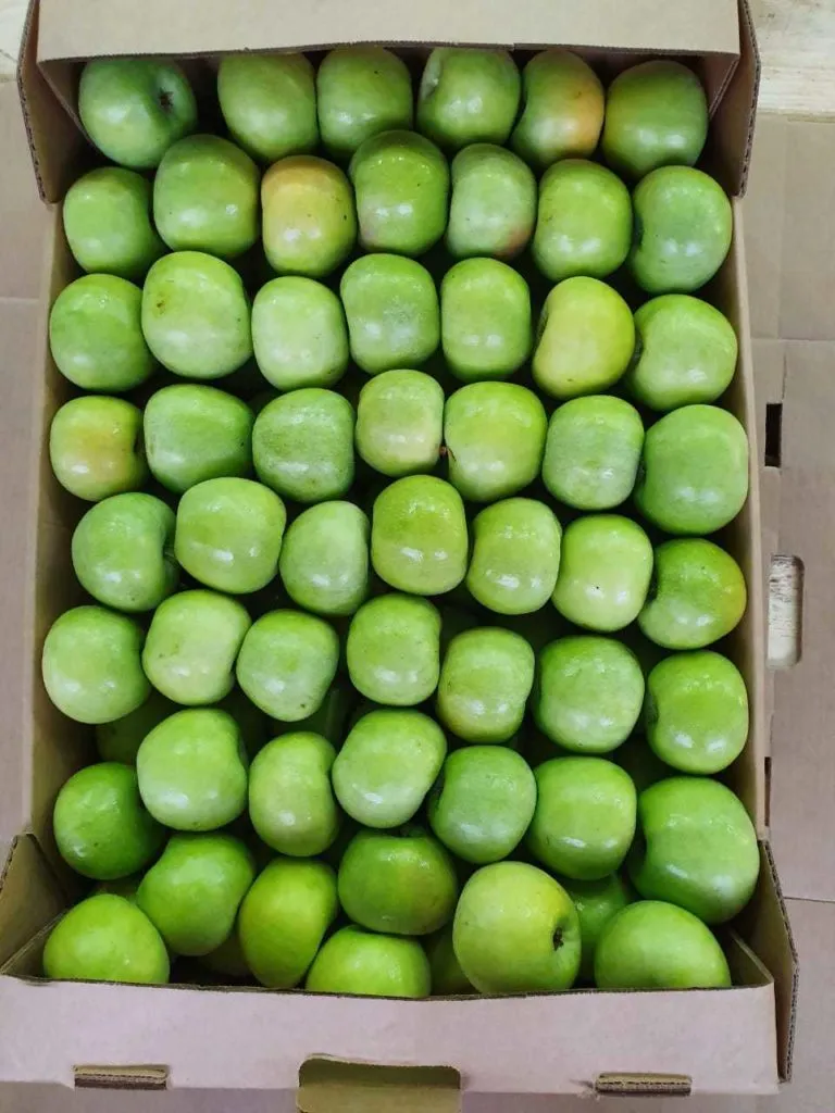 яблоки оптом с хранилища в Краснодаре 8