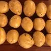 картофель оптом Производителя Отличный в Казахстане