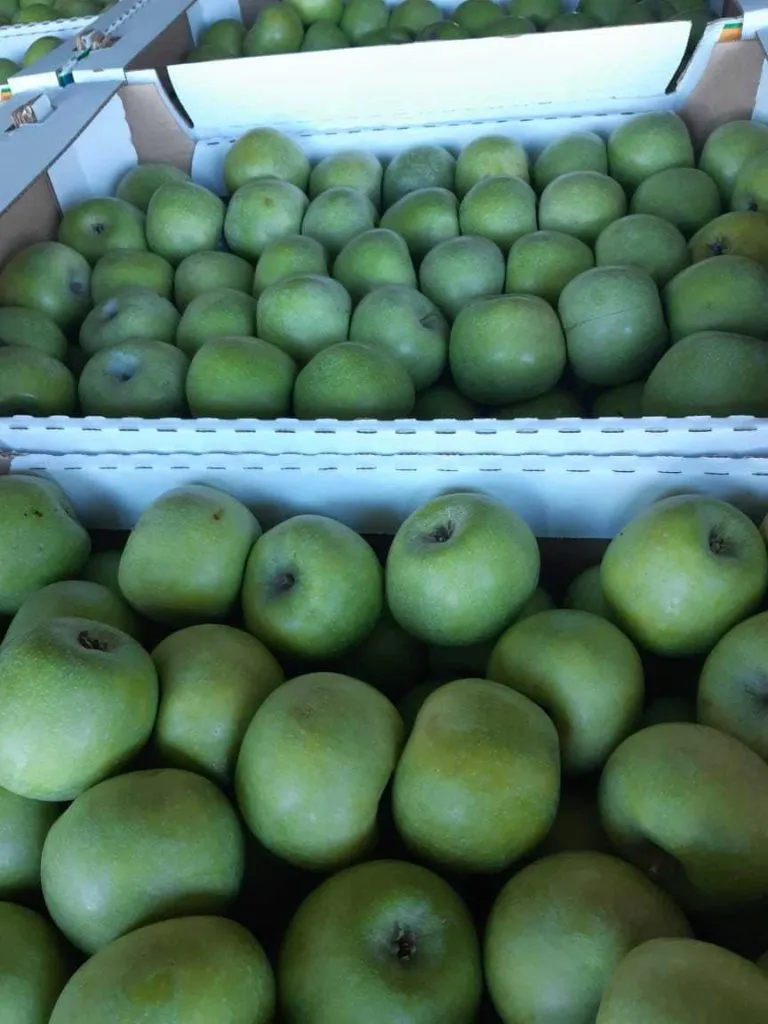 фотография продукта Продаем яблоки мелким оптом  в Москве 