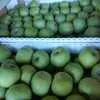 продаем яблоки мелким оптом  в Москве  в Москве