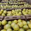 продаем яблоки мелким оптом  в Москве  в Москве 2