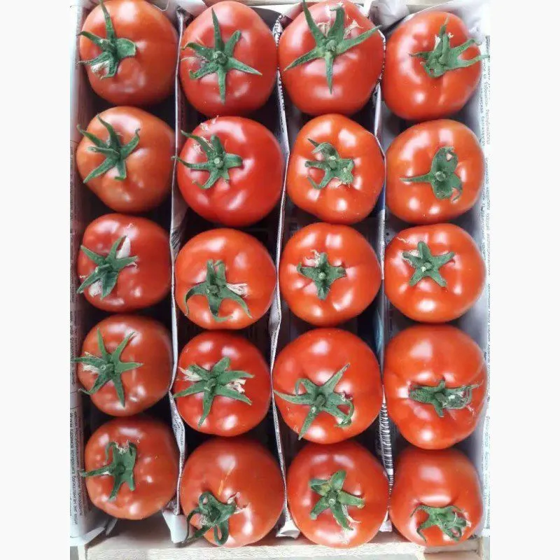 фотография продукта Продаем томаты оптом 