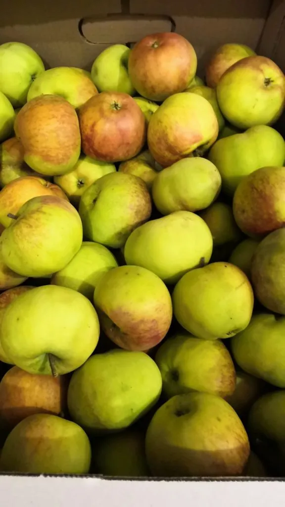 яблоки оптом Пензенская область в Самаре