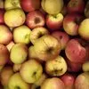 яблоки оптом Пензенская область в Самаре 4