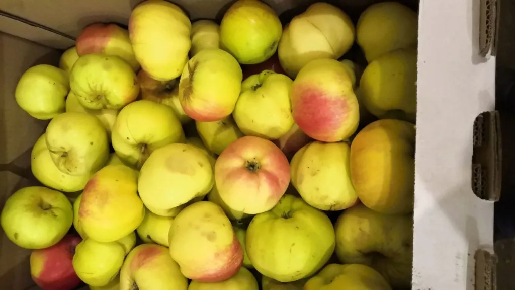 яблоки оптом Пензенская область в Самаре 3